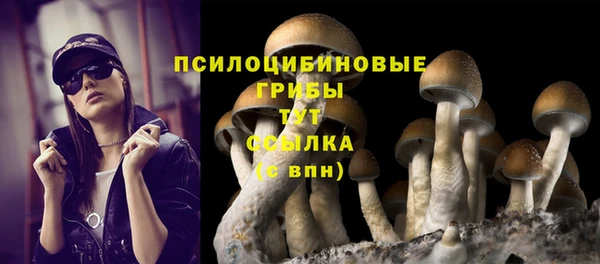 марки nbome Алексеевка