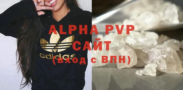стафф Алексин