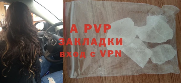 стафф Алексин