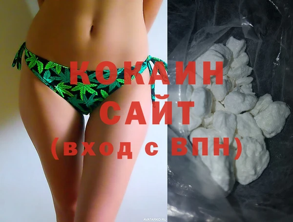 стафф Алексин