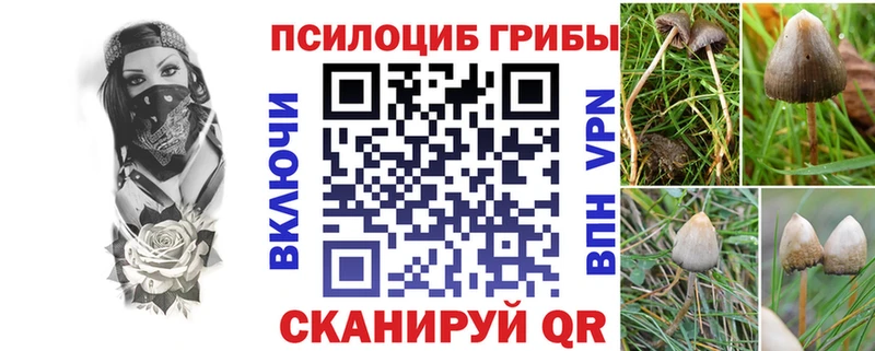 Псилоцибиновые грибы MAGIC MUSHROOMS Сосновка