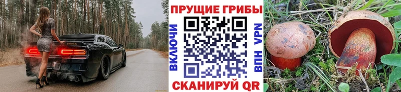 дарнет шоп  мега как зайти  Галлюциногенные грибы Psilocybine cubensis  Сосновка 